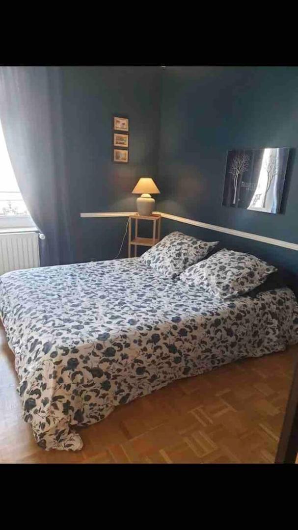 Duplex 4 Couchages Chaleureux Gare Sur Place Nogent-l'Artaud Luaran gambar